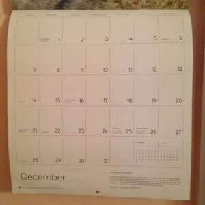 This month, we're keeping our calendar as empty of unnecessary commitments as possible.