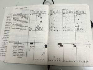 sample bullet journal cleaning log
