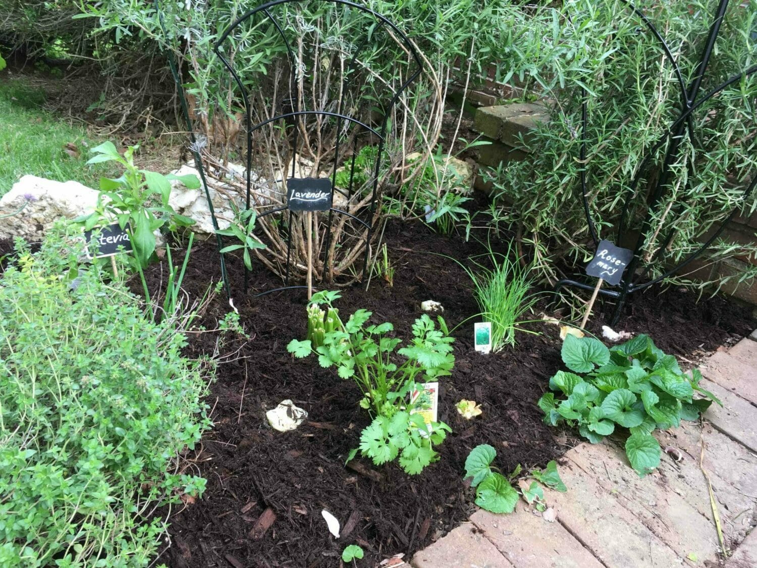 Why Your Kids Will Love A Tasting Garden