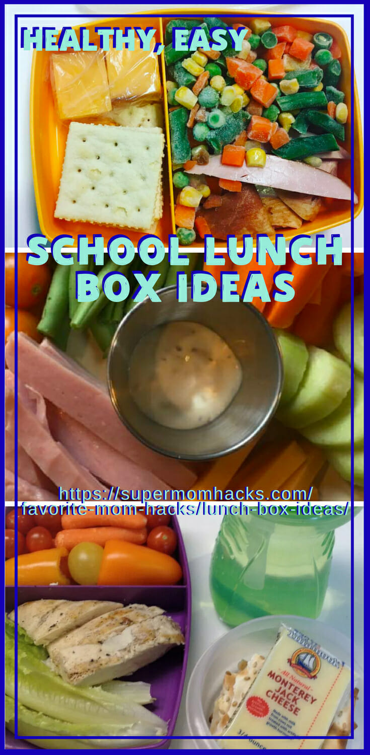 The Best Budget Friendly Lunch Box Items For Kids – MOB Moms