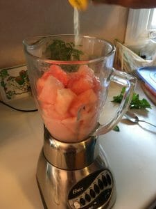 Looking for the perfect summer time drink, one that's refreshing and kid-friendly but easily adapted for grownup tastes? Try this Watermelon Cooler!