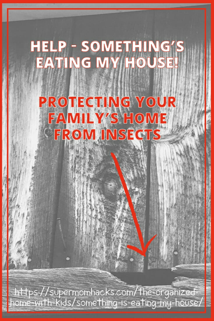 Help - Something\'s Eating My House! Protecting Your Family\'s Home From Insects