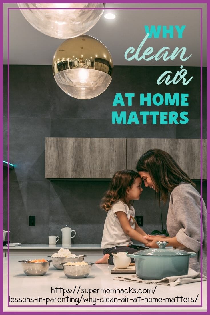 Why does having clean air at home matter for you and your family? Learn about both the risks of indoor air pollution, and what you can do about them!