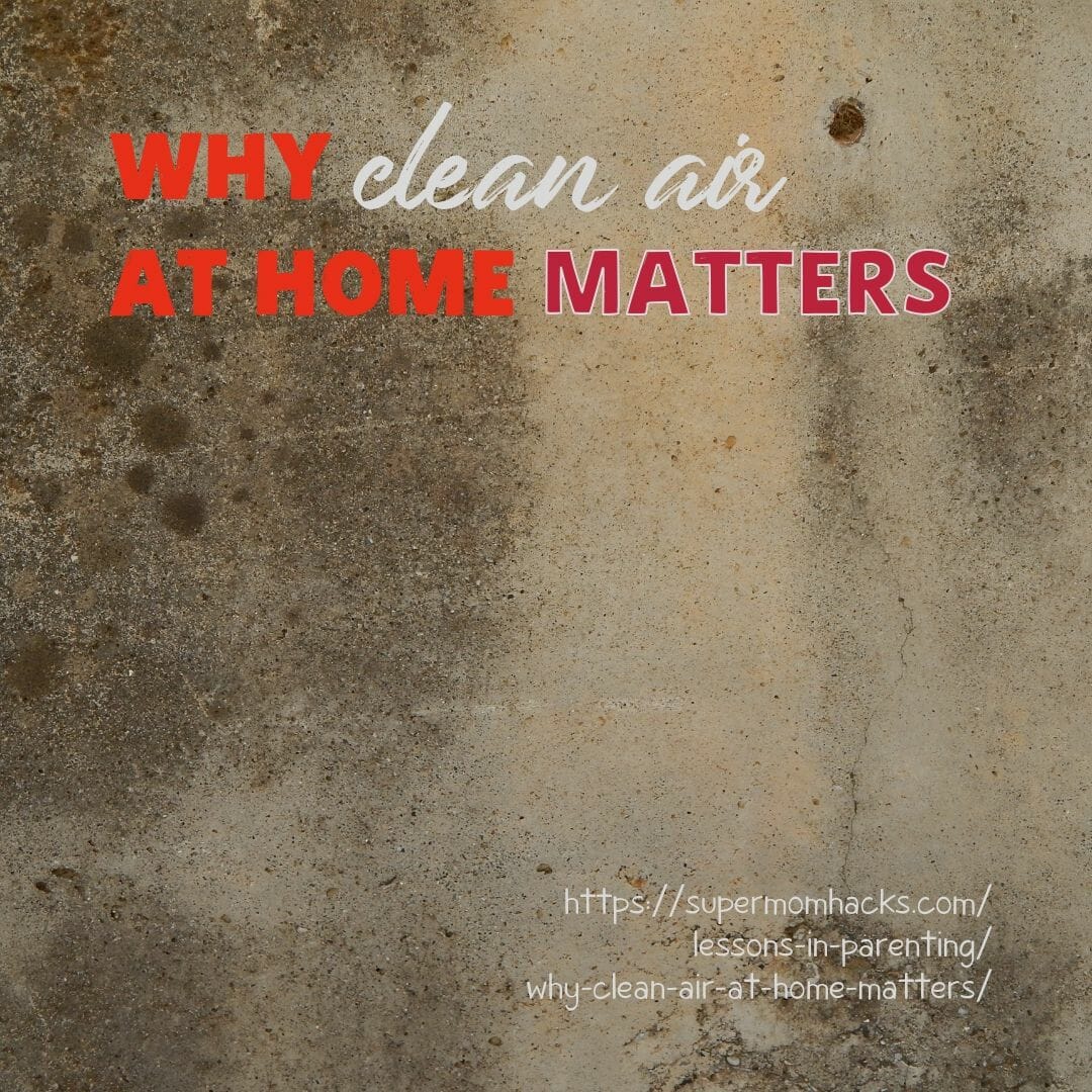 Why does having clean air at home matter for you and your family? Learn about both the risks of indoor air pollution, and what you can do about them!