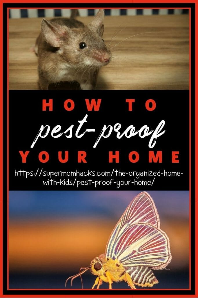 While prevention is the best way to pest-proof your home, there are also things you can do after the fact. This post has you covered either way.