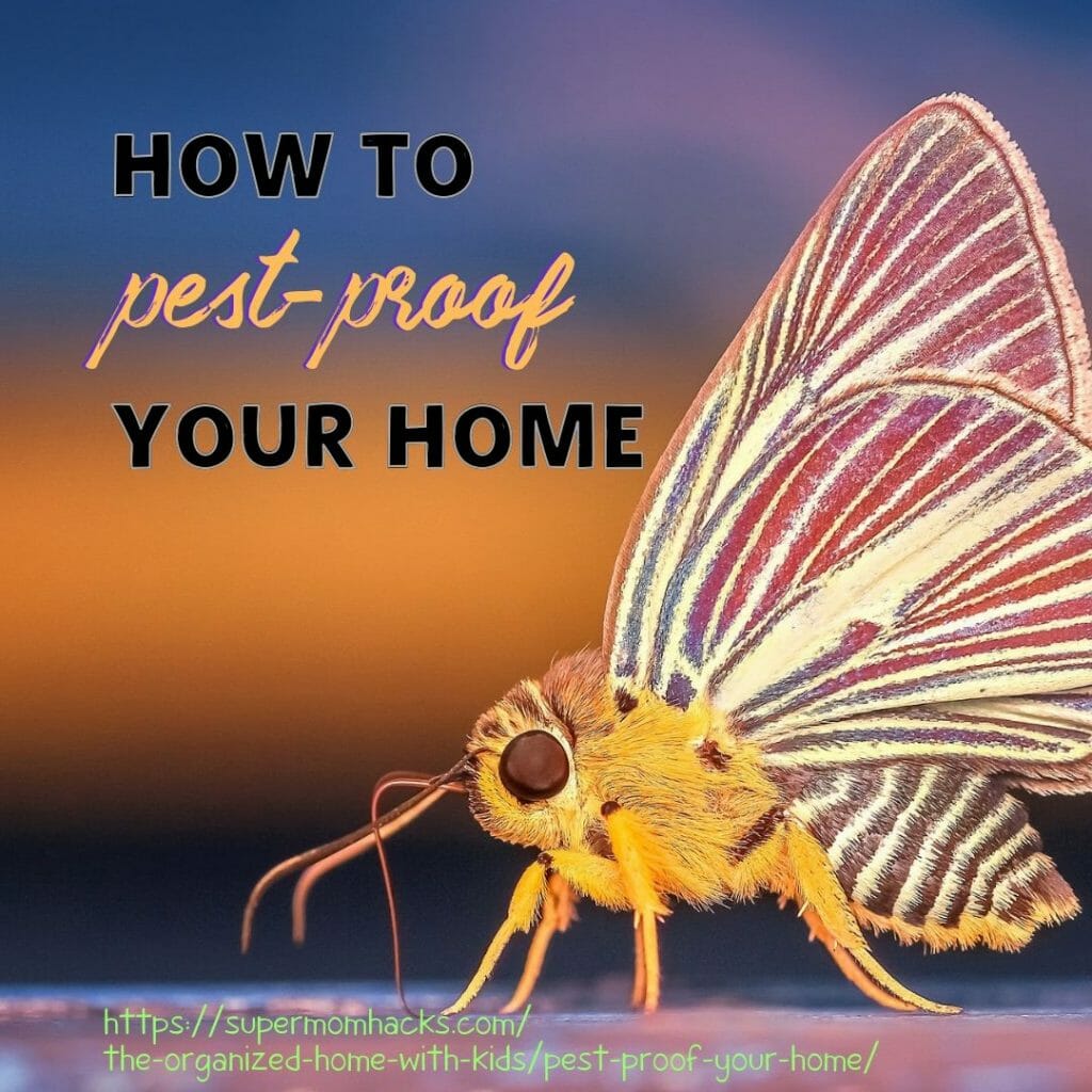 While prevention is the best way to pest-proof your home, there are also things you can do after the fact. This post has you covered either way.