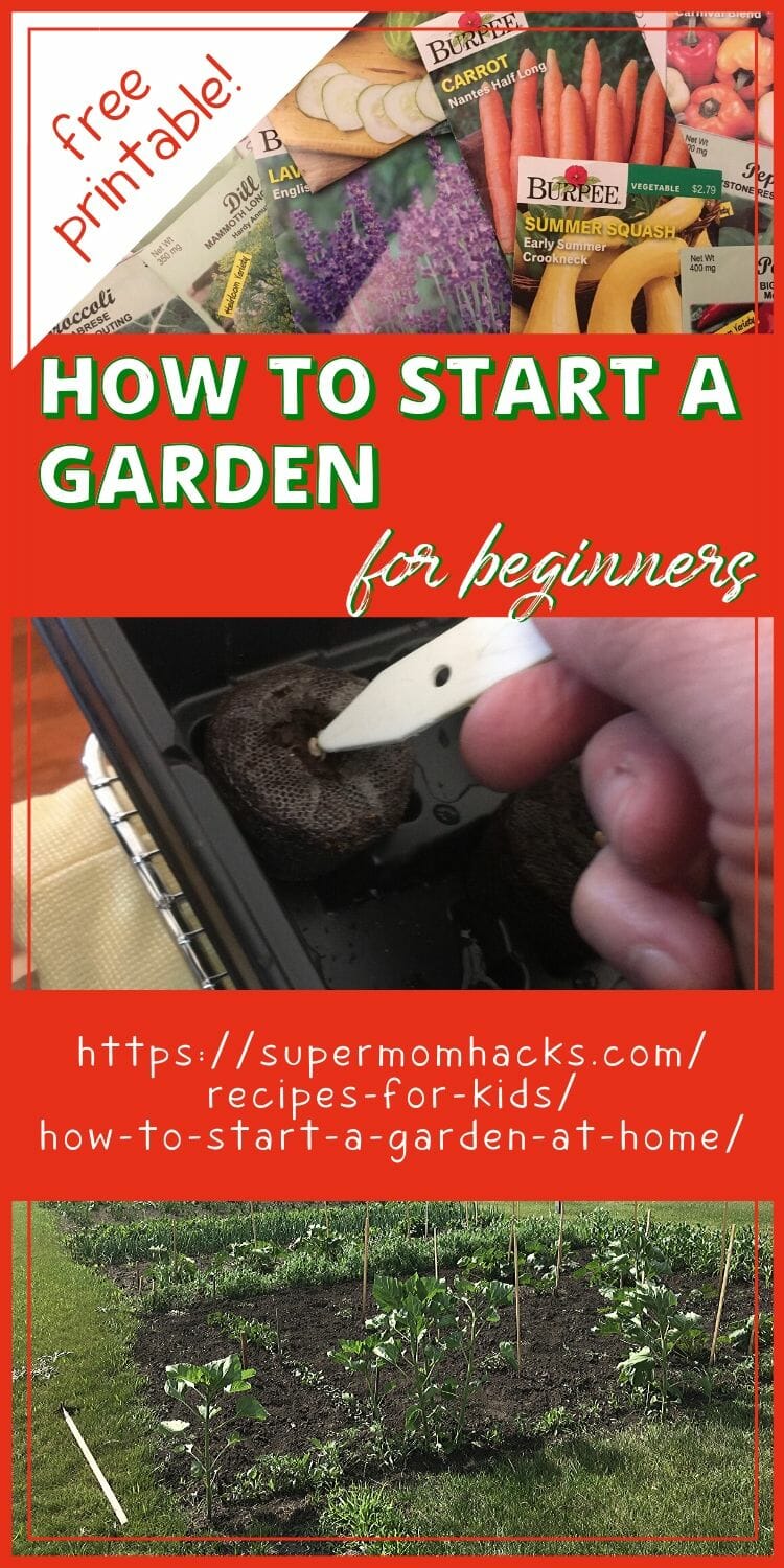 How To Start A Garden At Home